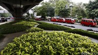 Keberadaan taman tersebut membuat suasana di kolong jembatan menjadi lebih adem.