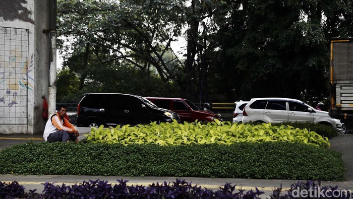 Dulu Kumuh, Kini Kolong Jembatan Pasar Rebo Lebih Asri Dulu tampak kumuh, kini kolong Jembatan Pasar Rebo, Jakarta Timur, dihiasi dan dipercantik dengan tanaman hias.