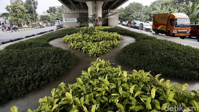 Dulu tampak kumuh, kini kolong Jembatan Pasar Rebo, Jakarta Timur, dihiasi dan dipercantik dengan tanaman hias.