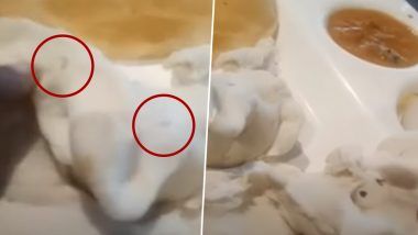 Gegara Temuan Cacing di Menunya, Restoran Ini Ditutup Sementara!