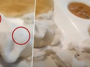 Duh! 5 Restoran Ini Terpaksa Ditutup Karena Jorok hingga Diprotes
