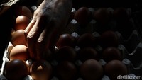 Kenaikan harga telur ayam saat ini merupakan kenaikan tertinggi dalam sejarah.
