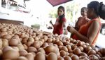 Memantau Harga Telur Ayam yang Terus Meroket