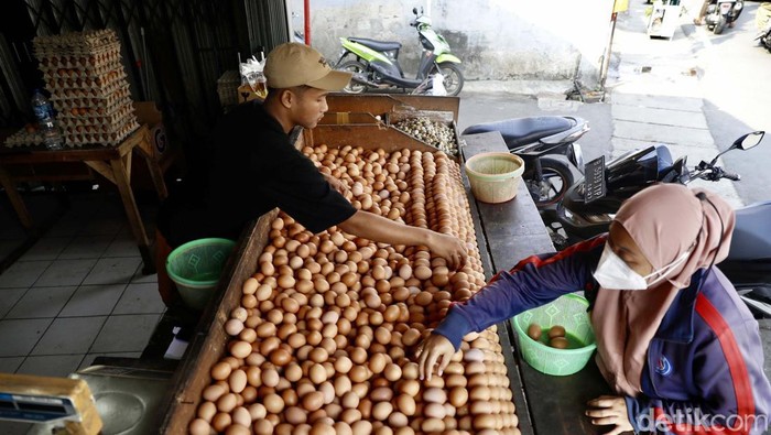 Harga telur di pasaran kian meroket. Kini harga telur ayam tembus Rp 31.000/kilogram.