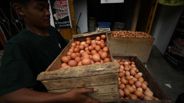 Harga Telur Naik (CNBC Indonesia/Tri Susilo)