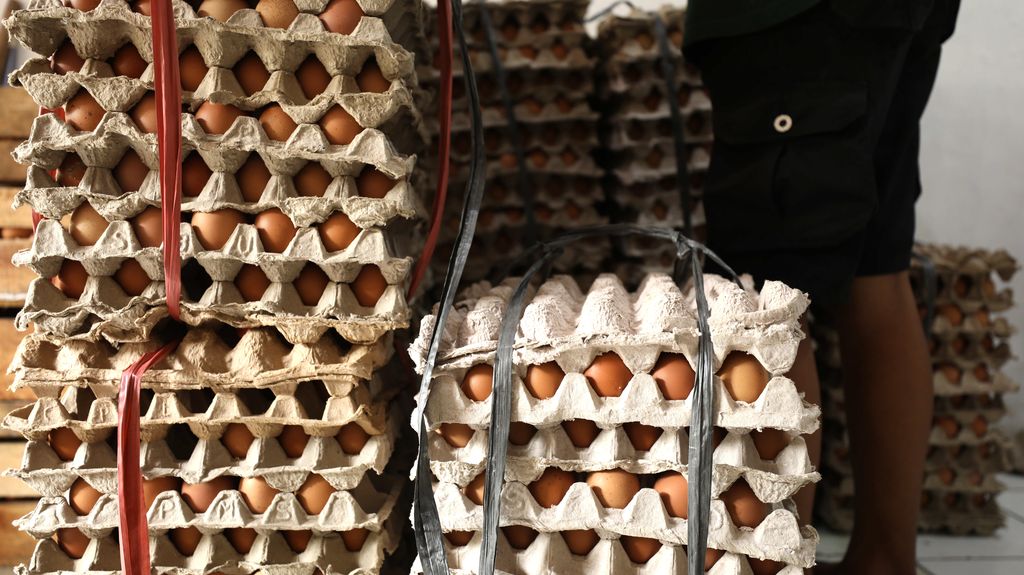 Harga Telur Naik (CNBC Indonesia/Tri Susilo)