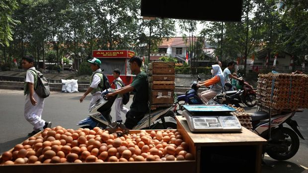 Harga Telur Naik (CNBC Indonesia/Tri Susilo)