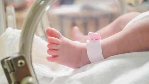 Newborn girl baby inside incubator in hospital post delivery room with identification bracelet tag name