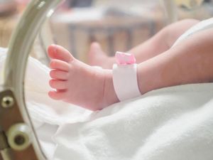 Dijalani Ibu yang Anaknya Tertukar di Bogor, Begini Cara Kerja Tes DNA