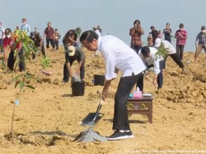 Food Estate Jokowi Tambah Banyak, Terbaru Lumbung Pangan Mangga di Gresik