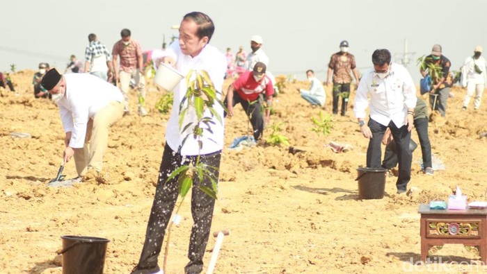 Jokowi di Gresik