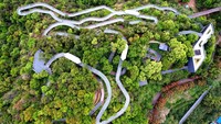 Berikutnya, ada pemandangan hutan yang dilengkapi dengan skywalk sepanjang 19 kilometer di kawasan Fudao, China.