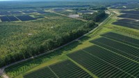 Amazon Fort Powhatan Solar Farm didirikan di Disputanta, Virginia.