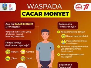 Upaya Gubernur Khofifah Cegah Penyakit Cacar Monyet di Jatim
