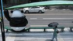 Gemas, Ada Patung Panda Raksasa di Halte Bus Chengdu, China
