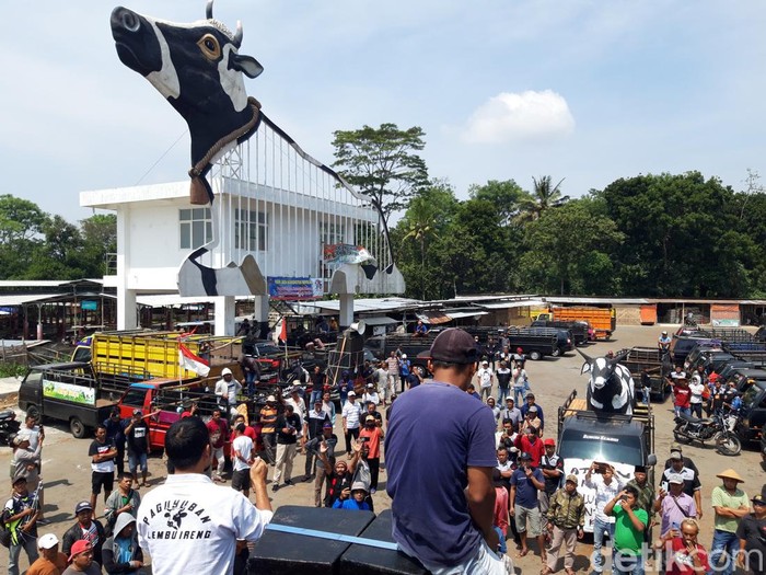 Ratusan pedagang sapi Boyolali melakukan aksi unjuk rasa terkait Pasar Hewan Jelok yang tak kunjung dibuka sejak ditutup gegara kasus PMK tiga bulan lalu, Senin (22/8/2022).