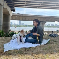 Meskipun terpisah jarak, Alice dan Rose BLACKPINK masih sering bertemu. Dalam sebuah unggahan terlihat Alice bermain dengan anjing peliharaan Rose, Hank di Sungai Han. Foto: dok. Instagram @baebaealice