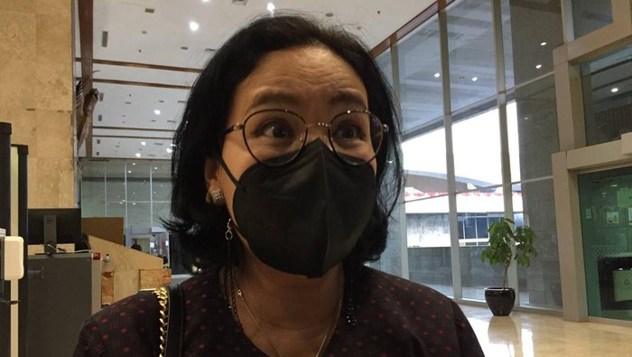 Anggota DPR RI F-PDIP Agustina Wilujeng.