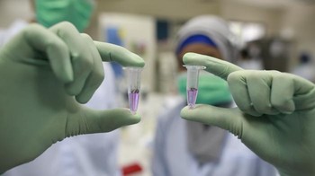 Wadah ini berisi bakteri Wolbachia. Bakteri ini ada pada 70% serangga dunia dan tidak berbahaya untuk manusia. Namun, bakteri ini tidak ada pada nyamuk Aedes aegypti secara alami, sehingga harus ditularkan secara sengaja di laboratorium. Foto: Blog Bill Gates