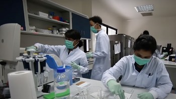 Bill Gates mengatakan pada tahun 2021, nyamuk yang membawa Wolbachia mengurangi kasus dengue di Yogyakarta sebesar 77 persen dan mengurangi perawatan akibat dengue sebesar 86 persen. Foto: Blog Bill Gates