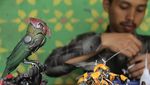 Cuan Nih, Pria di Bogor Sulap Bahan Bekas Jadi Mainan Robot Hewan