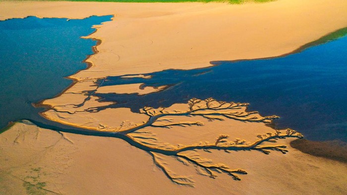 Dasar Danau Poyang Berbentuk Pohon NANCHANG, CHINA - AUGUST 21: Aerial view of a tree-shaped pattern formed on the riverbed of Poyang Lake on August 21, 2022 in Nanchang, Jiangxi Province of China. Poyang Lake has entered the dry season, the earliest date in 71 years on Friday as a result of continuous high temperatures. (Photo by Shi Gangze/VCG via Getty Images)