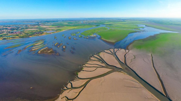Dasar Danau Poyang Berbentuk Pohon NANCHANG, CHINA - AUGUST 21: Aerial view of a tree-shaped pattern formed on the riverbed of Poyang Lake on August 21, 2022 in Nanchang, Jiangxi Province of China. Poyang Lake has entered the dry season, the earliest date in 71 years on Friday as a result of continuous high temperatures. (Photo by Shi Gangze/VCG via Getty Images)