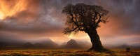 Foto Pemandangan AI