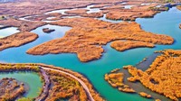 Terakhir ada Taman Nasional Zhangye, China. Lahan basah ini menampilkan lanskap musim gugur yang sangat sempurna. Foto ini diambil pada 30 Oktober 2017.