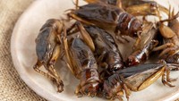 Serangga lain yang bisa dikonsumsi adalah jangkrik. Kerap dijadikan olahan jangkrik goreng maupun tumisan. Banyak orang percaya kalau mengonsumsi jangkrik dapat mengobati peradangan tubuh. Foto: iStock/Instagram