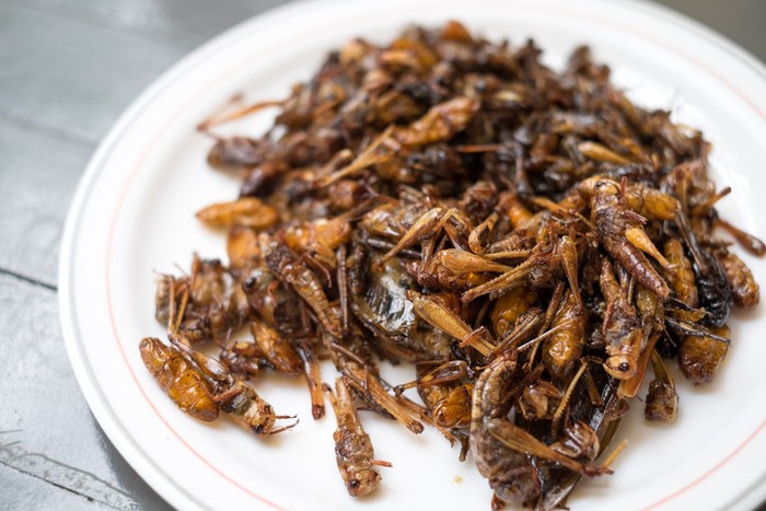 Kuliner ekstrem dari serangga