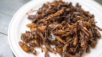 Belalang goreng, salah satu makanan Indonesia yang berasal dari serangga. Makanan khas Gunungkidul, Yogyakarta ini tak sembarang menggunakan belalang, harus belalang kayu. Biasanya dibumbui dengan bawang putih, ketumbar, garam, hingga cabe. Foto: iStock/Instagram