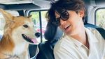 Potret Gemas Lee Ki Woo dan Anjing Peliharaannya