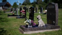 Begini kondisi pemakaman Pet Cemetery di Holywell yang dikhususkan untuk hewan peliharaan milik warga.  Terawat ya... 