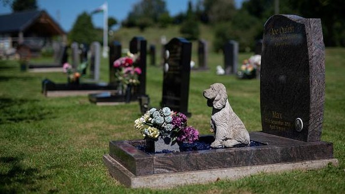 Decorative graves where pets have been interred are pictured at the Pet Cemetery in Holywell, north Wales, on August 12, 2022. - Faced with sharply increasing costs, UK pet owners wanting to give their much-loved companions the best treatment and a dignified send-off are having to make harsh decisions. (Photo by OLI SCARFF / AFP) (Photo by OLI SCARFF/AFP via Getty Images)