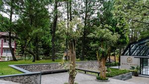 Nikmati Segarnya Puncak Sambil Ngopi Cantik, Ini Tempatnya...