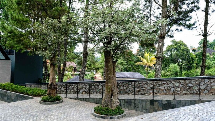 Jenuh liburan yang gitu-gitu ajah di Puncak? Cobain deh kesini. Sudut Lengah Kopi hadir memanjakan pecinta kopi yang mau ngopi cantik sambil menikmati segarnya Puncak.