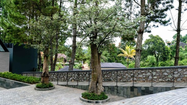 Lokasi SuLeng Kafe atau Sudut Lenggah Kopi ini berjarak hanya 41 menit dari pusat kota Bogor. Berada di satu lokasi dengan Kutamara, sebuah multifunctional venue yang biasa digunakan untuk berbagai acara, seperti event wedding, birthday party, office gathering dan lain sebagainya, dan Villa Bale Mara, villa dengan konsep modern minimalis yang memiliki fasilitas 8 kamar tidur, kolam renang pribadi, jacuzzi, lahan barbeque, dan lain-lain. Lokasi SuLeng Kafe atau Sudut Lenggah Kopi ini berjarak hanya 41 menit dari pusat kota Bogor. Berada di satu lokasi dengan Kutamara, sebuah multifunctional venue yang biasa digunakan untuk berbagai acara, seperti event wedding, birthday party, office gathering dan lain sebagainya, dan Villa Bale Mara, villa dengan konsep modern minimalis yang memiliki fasilitas 8 kamar tidur, kolam renang pribadi, jacuzzi, lahan barbeque, dan lain-lain.