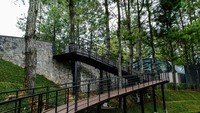 Kafe dengan konsep area terbuka dan berudara sejuk dengan view alam dan pohon pinus ini, dapat menjadi pilihan bagi warga kota, terutama Jakarta untuk self-healing, menghilangkan penat sambil menikmati secangkir kopi dan bercengkrama dengan orang-orang terdekat.