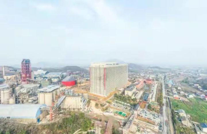 'Pig Hotels', Peternakan Babi Modern Layaknya Hotel Dibuka di China