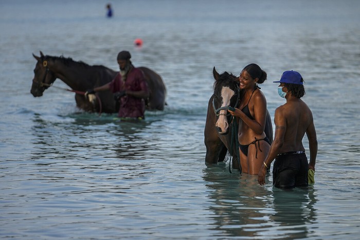 Potret Turis Renang Bareng Kuda di Laut Karibia Barbados Tourists watch handlers swim with a horses from the Garrison Savannah Racetrack that are taken daily for a swim in the Caribbean Sea near Bridgetown, Barbados, Monday, Aug. 22, 2022. (AP Photo/Ramon Espinosa)