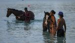 Eksotis... Di Laut Karibia, Turis Bisa Main dan Berenang Bareng Kuda