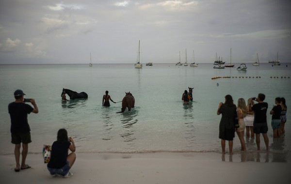 Para turis antusias dengan kuda-kuda yang ada di Laut tersebut. Tak ingin ketinggalan, mereka mengabadikan momen tersebut menggunakan ponsel mereka.