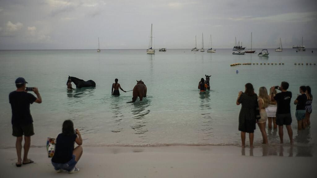 Eksotis... Di Laut Karibia, Turis Bisa Main dan Berenang Bareng Kuda