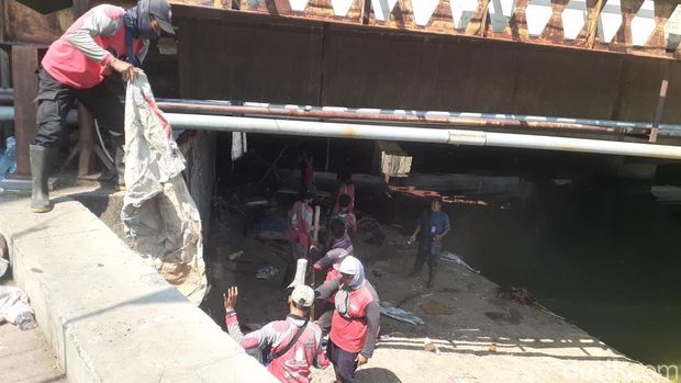 Petugas melakukan pembongkaran hunian di kolong Jembatan Banjir Kanal Barat, Semarang, Selasa (23/8/2022).