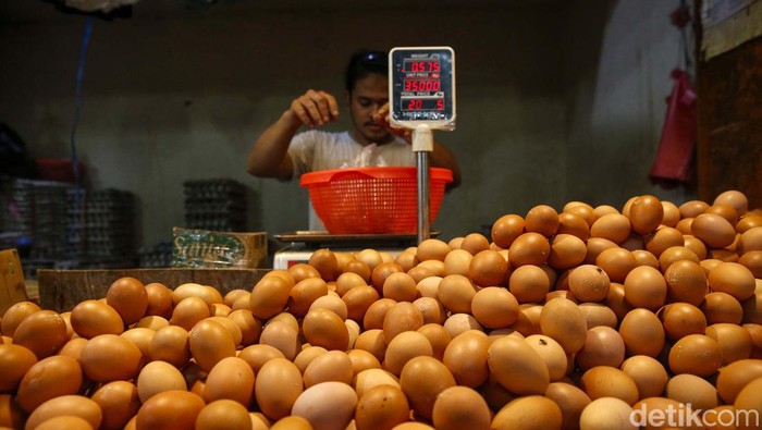 Sabar yang Emak-emak! Harga Telur Naik Lagi Harga telur ayam terus beranjak naik. Setelah kemarin berada di Rp 31.000/Kg, kini harga telur bertengker di angka Rp 33.000/Kg.