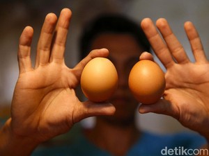 Telur Lagi Mahal, Pemerintah Mau Bayarin Ongkirnya Biar Murah