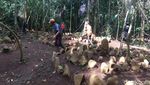 Deretan Batu Melingkar Tasik yang Dipercaya Peninggalan Leluhur Sunda