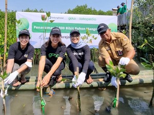 Tokopedia Tanam 13.000 Pohon Mangrove di 8 Provinsi Sepanjang 2022