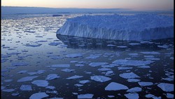 Studi Ungkap Oasis Tersembunyi Antartika, Bisa Jadi Tempat Hidup Masa Depan
